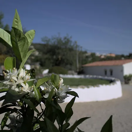Cosy Quinta Da Eira 140 Years Old * Loule